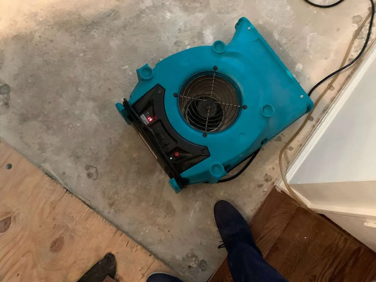 Air mover drying subfloor during Leak Detection & Repair in Midway
